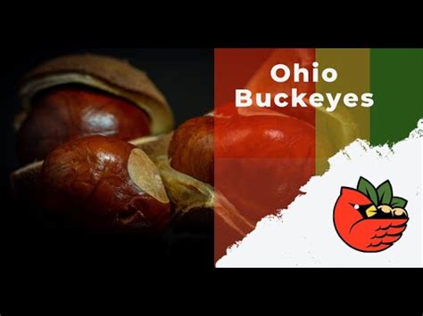 The company lists five target openings for locations that are. . Buckeyes near me